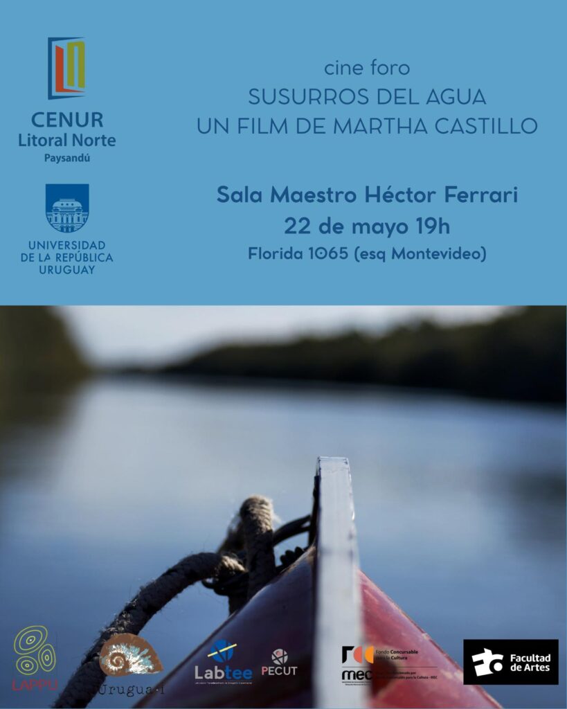 Afiche de difusión de la actividad