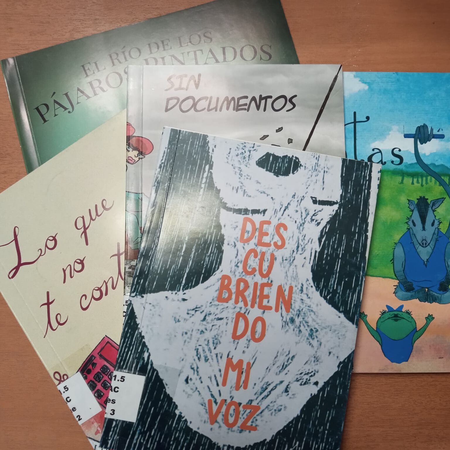 Fotografía de cinco libros impresos de la colección Resistencia Invisible, dispuestos sobre una mesa de madera. Se distinguen las portadas de “Descubriendo mi voz”, “Lo que no te conté”, “El río de los pájaros pintados”, “Sin documentos” y “Las acróbatas”.