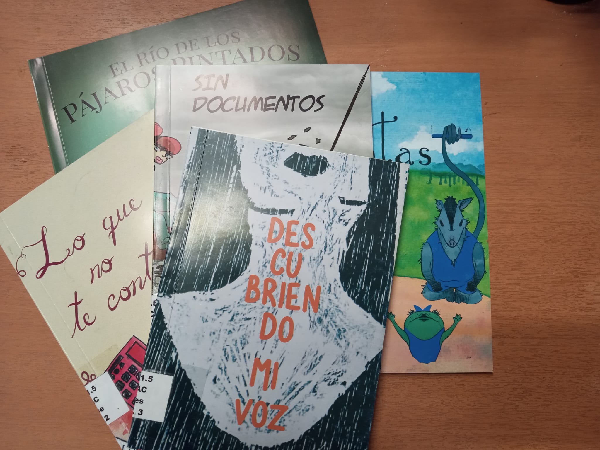 Reimpresión de Resistencia Invisible: cinco libros, una historia colectiva