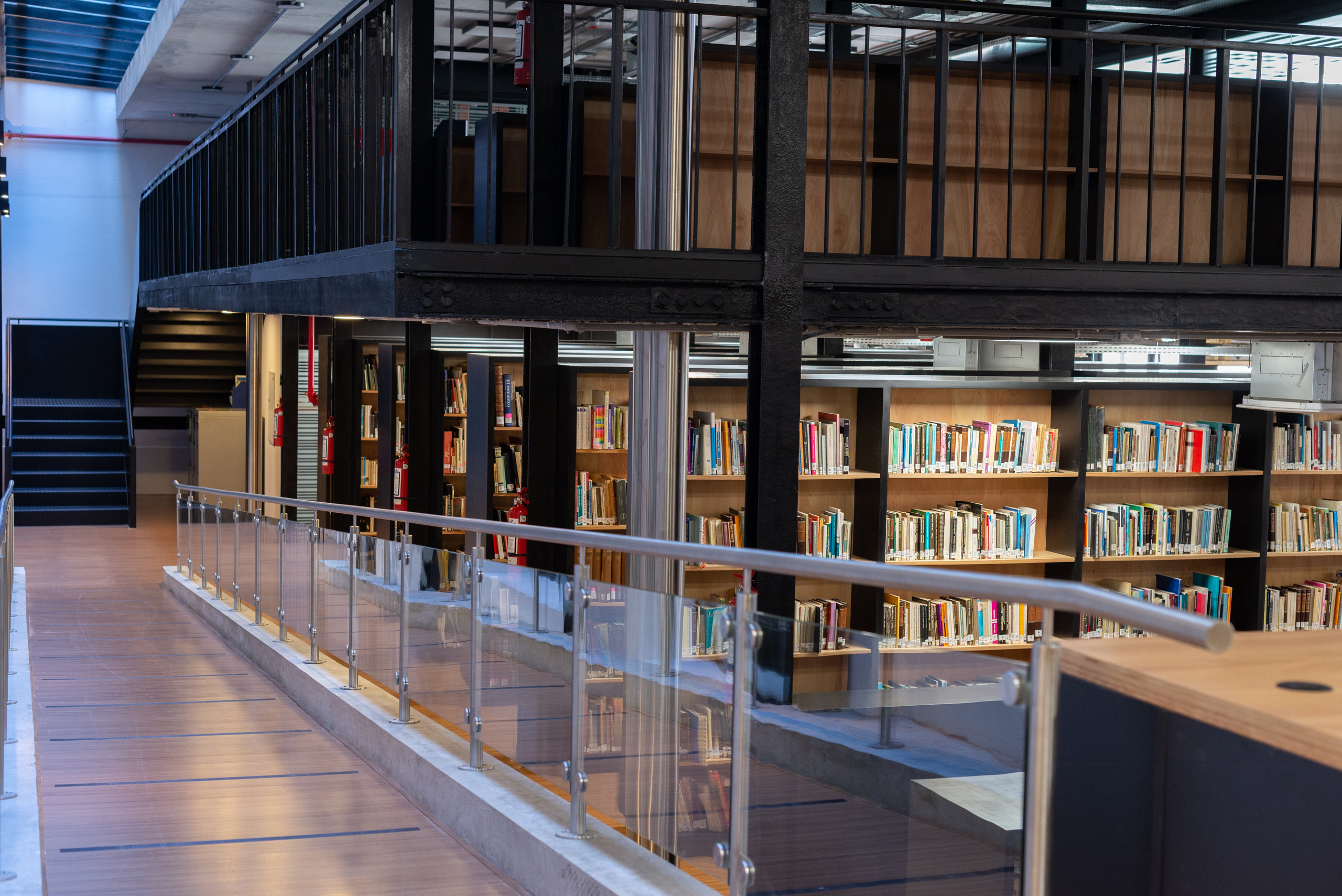 Nueva Biblioteca de la Facultad de Artes