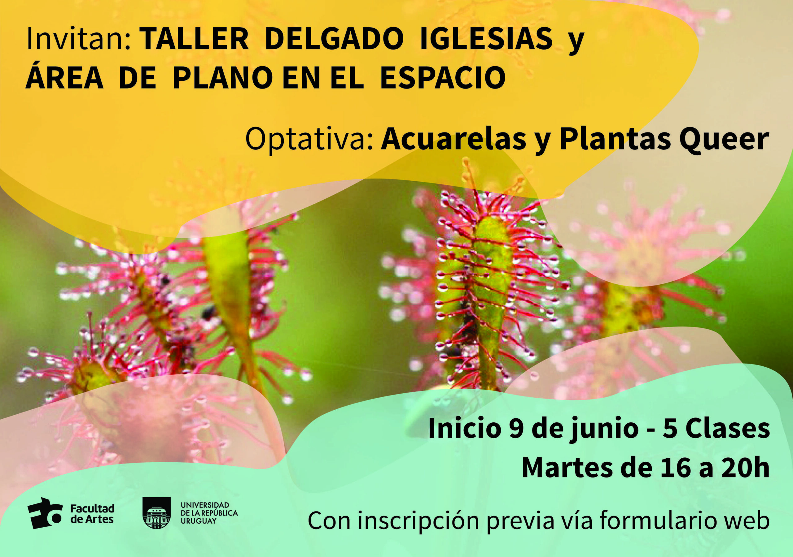 Taller Delgado Iglesias: optativa «Acuarelas y plantas queer»
