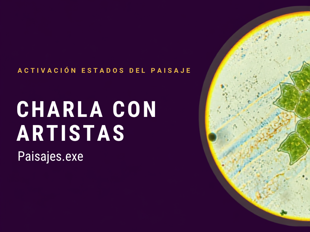 31/08 – Activación Estados del Paisaje: charla con artistas