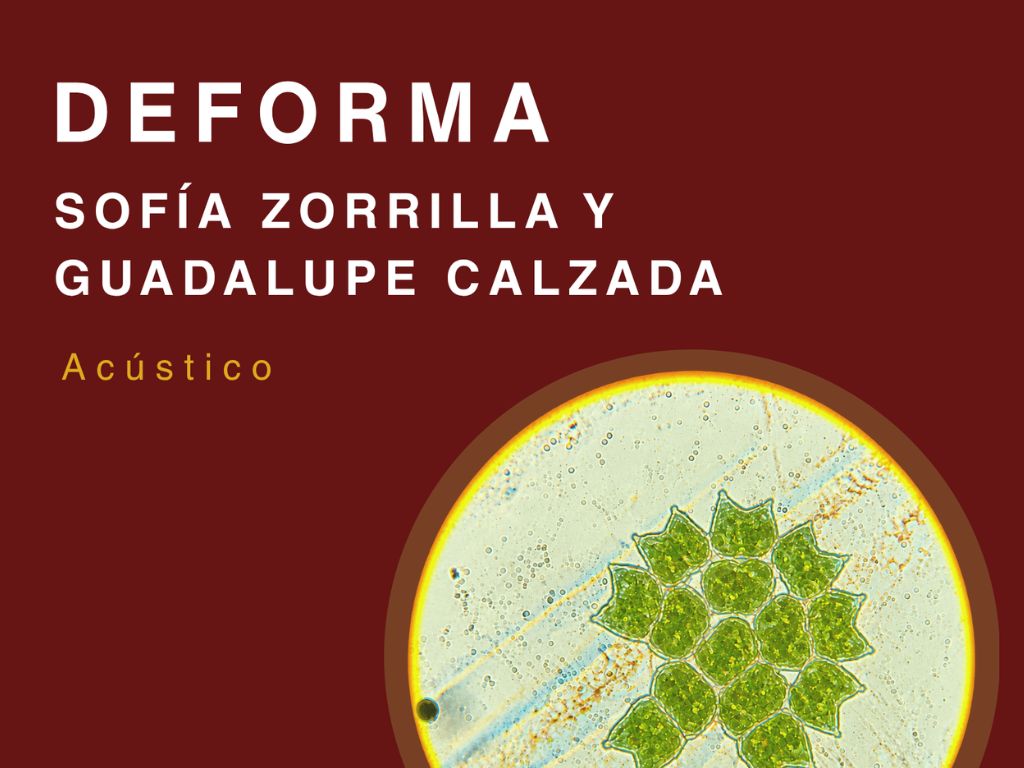 11/09 – DEFORMA (banda) + Guadalupe Calzada y Sofía Zorrilla
